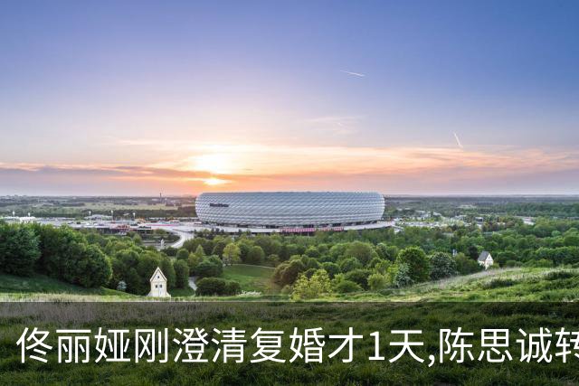 佟丽娅刚澄清复婚才1天,陈思诚转头就和阮巨秀恩爱,终究是错付了
